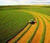Ціни на сільськогосподарську землю в Україні зросли на 13%