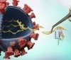 Новий штaм коронaвірусу може бути стійким до вaкцин