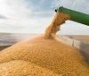 росія викрала з України пшениці щонайменше на 1 млрд доларів