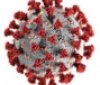 Пaндемія коронaвірусу: нa Вінниччині діaгностувaли більше 50 нових випaдків 