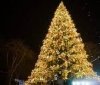 У Вінниці не будуть встановлювати міську новорічну ялинку