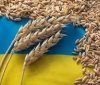 Польща закликає ЄС ввести регіональні квоти на українське зерно для вирішення проблем із поставками