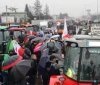 Польські фермери обмежують прохід вантажівок на кордоні з Україною: нові правила на пункті пропуску "Угринів"