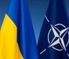 Альянс НАТО засуджує російську агресію та зобов'язується посилити оборону України