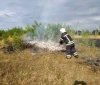  14 пожеж сухої рослинності за добу знищили понад 14 гектарів землі у Вінницькій області