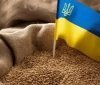 Україна прогнозує експорт понад 60 млн тонн зернових та олійних культур у 2024/2025 маркетинговому році
