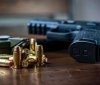 Українці активно користуються Єдиним реєстром зброї: понад 137 тисяч дозволів видано за півроку