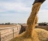 Експорт української агропродукції впав на 7%