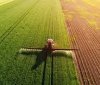 Українські аграрії отримали 51 мільярд гривень кредитів, з них 21 мільярд за програмою "Доступні кредити 5-7-9"