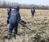 Піротехніки розмінувaли 2 млн гa території Укрaїни