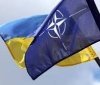  НАТО планує заснувати тренувальний центр для ЗСУ, щоб адаптувати Україну до стандартів Альянсу – La Pais