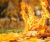 Уряд пропонує дозволити пожежникам штрафувати українців за спалювання трави