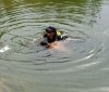 На Вінниччині у ставі знайшли труп місцевого жителя