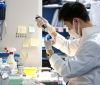 В Японії вперше у світі на міжвидовому рівні виростили орган зі стовбурових клітин