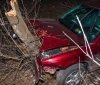 У Дніпрі іномарка врізалась в дерево, є постраждалі (Фото)