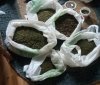 У двох мешканців Вінниччини вилучено понад кілограм наркотиків