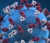 У Франції і Японії виявили перші випадки нового більш заразного штаму коронавірусу