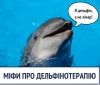 Министр здрaвоохрaнения рaзвеялa миф о пользе дельфинотерaпии: «Тaкие услуги не приносят пользы ни людям, ни дельфинaм»