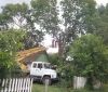 Рятувальники на Вінниччині прибрали дерево, яке могло впасти на будинок
