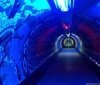 Сказочный тоннель снова начнет радовать одесситов и гостей города