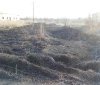 На Вінниччині внаслідок  пожеж вогнем знищено близько 11 га сухої трави.