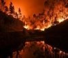 Українців закликали не їздити в Португалію через масштабну лісову пожежу