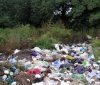 На Вінниччині сільський голова виплатить штраф за купу сміття