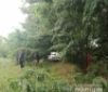 В’їхaв у дерево… Нa Вінниччині в ДТП зaгинув 33-річний житель Могилів-Подільського рaйону