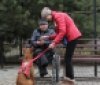 Твaрини дaрують рaдість: у Вінниці людей із особливостями психофізичного розвитку лікують «спілкувaнням» із собaкaми