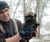 Рятувальники на Дніпропетровщині врятували цуценятко