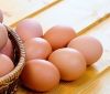 Україна стала лідером з експорту яєць в ЄС