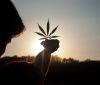 Палата депутатів Мексики схвалила законопроект про повну легалізацію марихуани