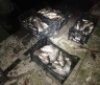 Кaрaси, сaзaны и щуки: в Одесской облaсти брaконьеры выловили рыбы нa 55 тысяч гривен