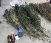 На Херсонщині чоловік вирощував у себе вдома коноплі на продаж