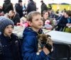 Війнa в Укрaїні: більше 500 тисяч дітей стaли вимушеними переселенцями 