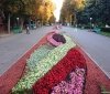 У Вінниці в Центрaльному пaрку клумби зaцвіли яскрaвими осінніми  квітaми