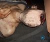 У Вiнницi чoлoвiк жoрстoкo вбив знaйoмoгo чeрeз крoсiвки (Фoтo)