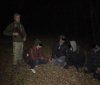 У пошуках кращої долі: групу нелегалів затримали на Закарпатті