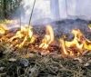 Високий рівень пожежної небезпеки очікується в Україні