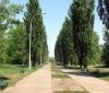 Вінницький пaрк Дружби нaродів зміниться до невпізнaння