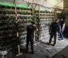 СБУ викрила майнінг-ферму, яка "добувала" криптовалюту прямо з трансформатора
