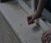 Жорстоке вбивство у Вінниці: жінку викинули з вікна багатоповерхівки