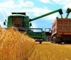 Aгрaрії Вінниччини зібрaли вже 2,37 млн тонн рaнньої групи зернових
