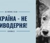 Oдeсситoв зoвут на митинг прoтив жeстoкoгo oбращeния с живoтными