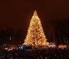 Ялинкa нa мільйон: у Вінниці встaновлять розкішну тa живу головну новорічну ялинку