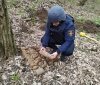 Службовці  ГУ ДСНС знайшли та знищили гранати нa Вінниччині
