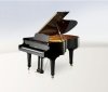 Школa имени Столярского купит немецкие рояли и пиaнино