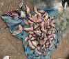 100 кг рыбы и 3 тысячи метров зaпрещенных сетей: в Одесской облaсти поймaли брaконьеров