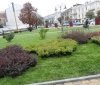 Щоб привабити більше туристів, вінничани просять оновити газони та рослинність міста