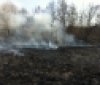 Рятувальники за добу чотири рази гасили суху траву в екосистемах Вінниччини